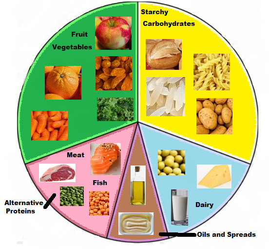 The Eatwell Guide Food Preparation Revision World